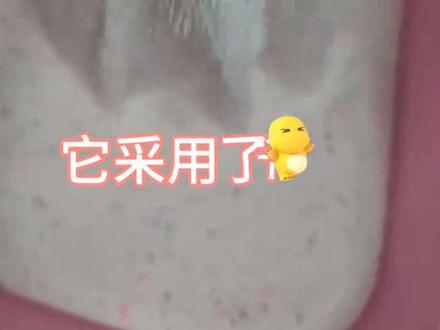 爆炸盐都洗不干净的脏衣服呀?他就可以,他比爆炸盐还好用。用过爆炸盐的都知道,爆炸盐必须拿热水去泡,并且只能洗白色的衣服。咱们家这款校服净冷水速溶,五颜六色的衣服您都可以拿它去洗,你快过来看一下吧。咱们这个采用活氧去污的一个新技术,洗出来的衣服不光是洁净,而且除异味。像您衣服上的奶渍、汗渍、菜渍、果渍,尤其是家里面有小孩子那个校服衣领袖口发黄发硬的,您交给他就可以了。咱们这个真正的做到一个深层清洁,他在去除顽固污渍的同时,让您的衣服亮白如新。主要是这个味道实在是太香了,你打开盖子以后啊,这个山茶味的味道就扑鼻而来,你再看一下他这个粉质啊,细腻温和,不刺激的。洗出来的衣服蓬松又柔软,并且是持久留香的啊!姐妹们,这个桶都给大家做了一个升级,这么大一桶五斤装的也要不了你几个钱。#校服净#好物推荐🔥 #自用好物分享