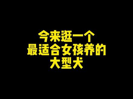 我估计男孩养大型犬不会选它,因为男孩都喜欢牵上直接能去打仗的长相,不喜欢萌的#贵宾犬 #狗 #二狗挑狗 #宠物知识 @抖音小助手