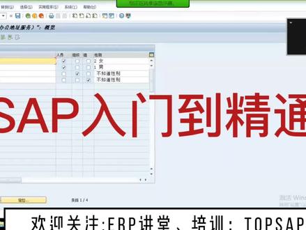 SAP FICO从入门到精通#sap #sap顾问 #sap学习 #sap教程 #sap课程