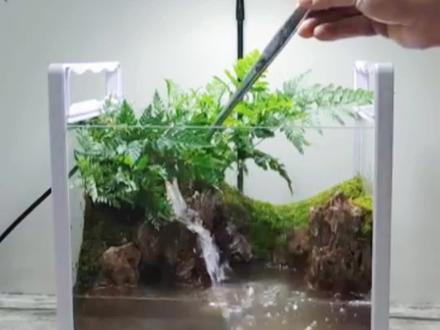 高山流水还能养鱼的#水陆缸#苔藓微景观#微景观 #鱼缸