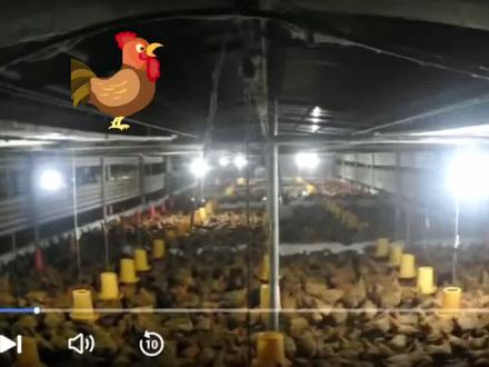 10月18日凌晨,广西钦州空域出现两声巨响,广西钦州应急管理局工作人员人员称,疑似是飞机经过。