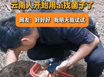 云南人开始用ai找菌子了,这是豆包最
有用的一集