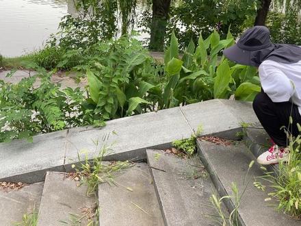 寻找丢失的积木,组装高铁玩具去来运石头 #高铁玩具 #高铁模型