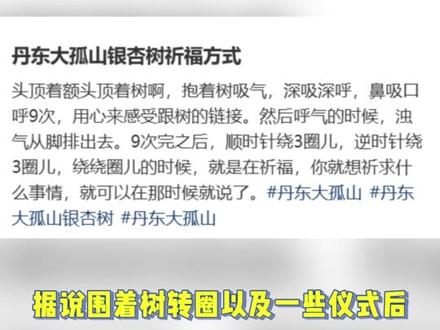 白鹿孟子义曾舜晞陈鑫海被偶遇去大孤山祈福了。 #娱乐评论大赏
