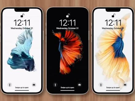 为什么苹果在iOS16里悄悄禁用动态壁纸? #科技 #数码 #手机 #苹果 #iOS