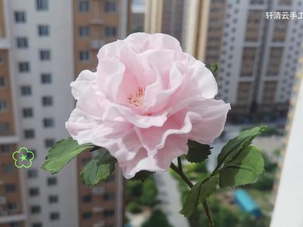 用纸巾做的月季花,快和你家小朋友一起试试吧,你学废了吗? #亲子手工 #手工diy #一花一草一世界