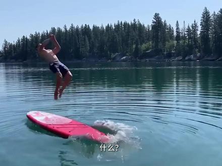 才两个月就凉凉?曾经的AI顶流Sora怎么“坠机”了? #抖音知识年终大赏 #ai新星计划 #AI #sora #openai