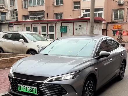 主题功能全面升级了,功能更全,玩法更多,快去看看吧小伙伴们😎😎#比亚迪 #秦l智驾版 #国产车