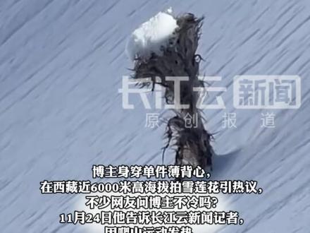 男子身着单件薄背心在海拔近6000米高山实拍雪莲花,网友:人比花震撼!@朱游侠