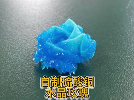 自制硫酸铜水晶玫瑰🌹#化学实验 #科学小实验 #万物皆化学 #实验室日常 #化学