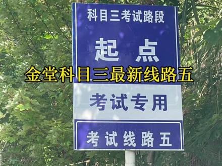 #考驾照 #逢考必过 #科目三 金堂考试线路五