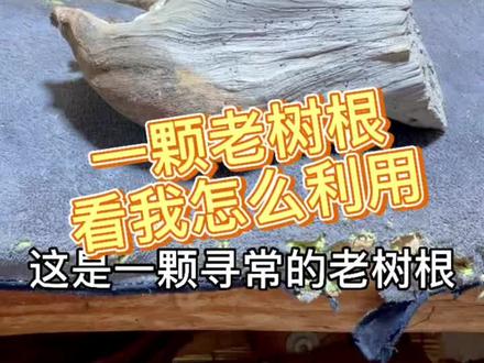 一颗平平无奇的树根看我怎么利用#根雕#木雕#手艺人#手工雕刻