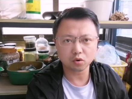 力压纽约、脚踩伦敦,合肥哪个公园这么牛?世界最大城市公园在合肥?会不会盖房子卖钱……#合肥 #安徽 #中央公园 #伦敦 #纽约