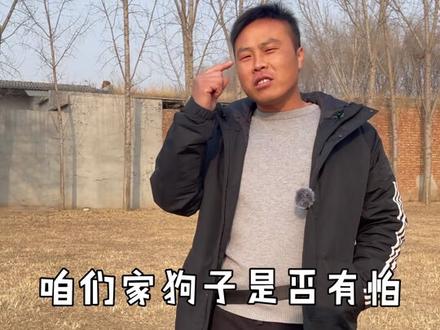 一招解决狗狗害怕鞭炮问题#萌宠 #养狗经验分享 #训犬技巧 @DOU+小助手