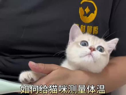 手把手教你如何给猫咪测量体温,正常体温38-39度
#萌宠出道计划 #记录猫咪日常 #被迫营业的猫猫 #科学养宠攻略