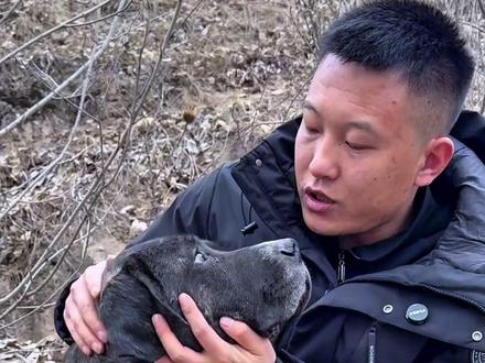 老吴讲述金刚 一条身上有着太多经历和心酸的狗狗 #星乡村星农人 #西北刀客 #护农助农 #西北刀客金刚