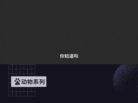 鲩鱼——四大家鱼之一#鲩鱼