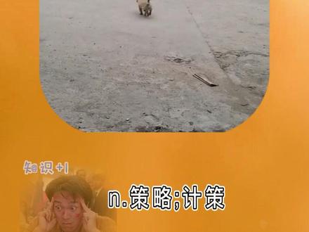 【strategy n.策略,计策。】#单词速记 #每天学习英语一点点 #每天学习一点点 #趣味英语 #搞笑