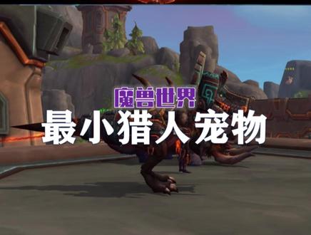 猎人最小宠物——小蝌蚪找妈妈!#我们比你们多一个世界 #网易大神