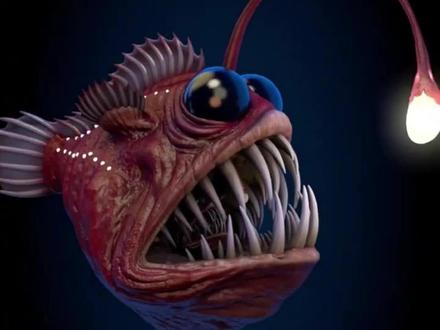 安康鱼小姐和它的8个小鲜鱼男友 #安康鱼#神奇动物在抖音#科普