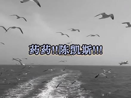 让我们下一站奔向幸福✨守得云开见月明#药kis#R.#y.kis #R.山药