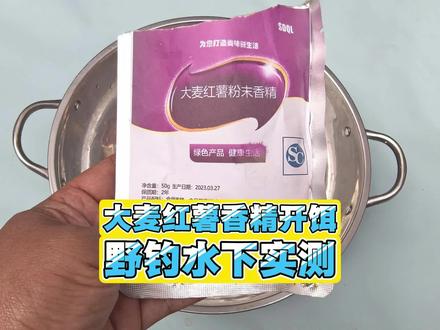 野钓鲤鱼的黑科技?大麦红薯香精开饵水下实测,探秘真实效果!#钓鱼 #饵料测试 #钓鱼添加剂 #钓鱼技巧 #原来钓鱼才是抖音运动顶流