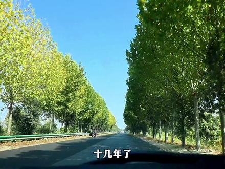 我终于知道天降乌龟的真相,那哪是一阵黑风刮来一只巨龟啊,明明是人家的宠物龟跑出来迷路了#随手拍 #民间故事 #太和 #原墙镇 #人祖庙