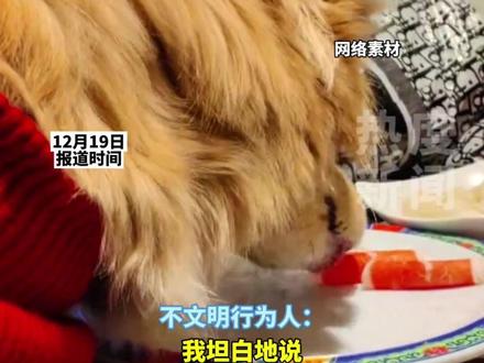 2025年12月16日晚,北京一家南门涮肉店内,一女子带宠物狗上桌,使用公共餐具喂狗食用生羊肉卷,并拍摄视频炫耀,称“这盘肉我没吃,全给狗吃了。#南门涮肉 #狗 #新闻热点 #素质