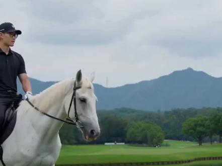 ⛳️当高尔夫遇上AI,3家大厂的水平对比?同样提示词和参考图,腾讯元宝vs阿里千问vs字节豆包的差距一眼明了!#高尔夫 #高尔夫球 #高尔夫挥杆 #AI #seedance