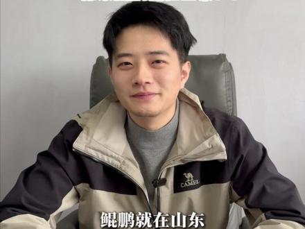 “北冥有鱼 竟然是真的”,东营数十万只候鸟迁徙似“巨鲲”#东营 #东营鸟浪 #北冥有鱼其名为鲲