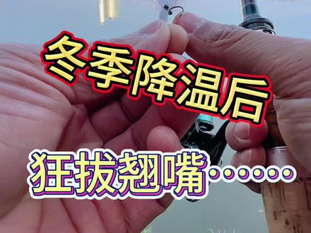 兄弟们降温后翘嘴大开口了,就是有点冷冷冷,出门记得保暖!用小饵效果最佳。#路亚#冬季路亚