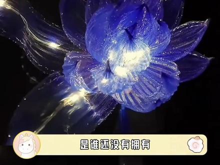 #手工 #惊喜 #创意手工 #花灯 DIY悬浮莲花灯拍照道具diy材料包#diy