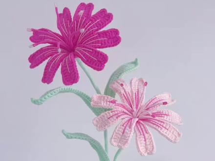 露薇花钩织教程1~花瓣。不必惊艳世界,也能活成童话,希望每个女孩都能成为自己的公主🌸#露薇花 #露薇花钩织图解 #毛线花视频教程 #种草激励计划 #零基础学钩织