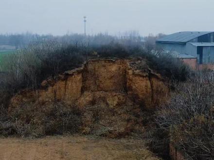 航拍邙山陵墓群M938升子冢 #历史 #古墓 #邙山陵墓群 #文物保护 #航拍 邙山陵墓群M938升子冢,位于孟津区裴坡村道以西,此冢南部取土坍塌有盗洞,北边也有盗洞,升子冢是升官或晋升的孩子的墓冢。由于各种原因,邙山陵墓群破坏甚重,墓冢数量减少,墓室被盗掘,封土和陵园遗址遭毁坏。东汉末年社会混乱,军阀饥民发掘帝陵及其陪葬,掠夺财宝。对皇室新陵旧冢的大规模盗掘,起于董卓,他八月入洛阳,九月即趁丧葬之际,打开位于城北的文陵,墓中珍物一扫而光。后曹操设置机构与官员,专司刨坟挖金,可谓空前绝后,洛阳城外的皇家陵园也难以幸免。唐末五代战乱之际,洛阳的帝王陵墓普遭盗挖。清朝末年,西方列强在中国搜刮古物,洛阳首当其冲。1904年汴洛铁路动工经过邙山南麓,毁坏了一批古墓,出土的随葬品使欧美竞相购求。最痛心是1928年至1932年间,位于邙山脚下的东周金村大墓曾遭到加拿大传教士怀履光和美国人华尔纳胁迫当地村民的疯狂盗掘,出土珍贵文物数以千计,后来大都流失海外。“邙山之上,十墓九空”是洛阳人北邙盗墓之盛的形象描述。新中国成立后至“文革”结束,盗墓基本得以遏制。但上世纪80年代以来,在经济利益的驱使下,邙山盗墓死灰复燃。当地居民生产、生活的蚕食和侵占,也使其遭受严重破坏。