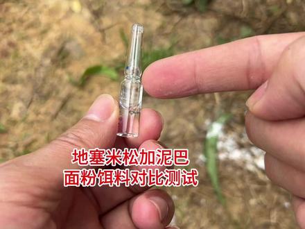 地塞米松加泥巴面粉饵料对比,水下高清测试呈现#钓鱼 #爆护饵料 #饵料添加剂 #鱼饵添加剂 #老G翠红
