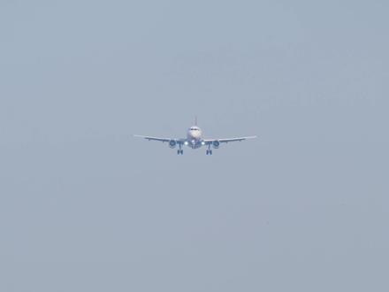 春秋票价为什么便宜?啤酒的彩绘飞机竟然看到了京东的广告! 主打一个不放过任何角落!编号 B-8581 空客A320 降落石家庄正定机场#春运#现场实拍#飞机降落#原声#飞友日常