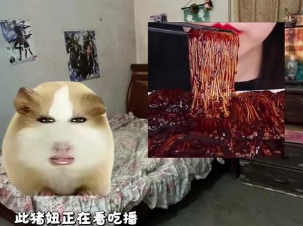 猪妞吃播之路第1集#猪妞 #猪妞妞 #猪妞加油 #快来看看 #猪妞