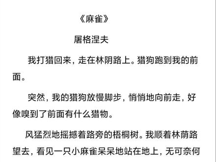 《麻雀》屠格涅夫#小短文 #希望每个孩子都被保护 #原声朗读 #麻雀