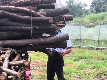 分享处事原则,为人处世的27条忠告#郭德纲的27条忠告