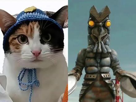 Al猫咪大战怪兽视频制作教程来了~#ai猫咪大战怪兽#哈基米大战怪兽#小云雀AI#小云雀爆款马上成片#小云雀seedance 小云雀ai使用教程小云雀ai怪兽教程小云雀ai生成视频小云雀ai怪兽打架小云雀ai怪兽指令ai懷兽邃制作教程小云雀ai怎么做怪兽ai怪兽对战制作哈基米大战怪兽哈基米大战怪兽ai指令猫咪珍蚌萝卜纸巾猫咪豆包大战怪兽seedance2.0免费体验小云雀ai使用教程ai怪兽打架一键生成怪兽ai打架一键生成