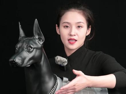 为什么专业训犬师都用P链?和P绳的区别在哪? 一条用一辈子的p链,在家当项链貌美如花,在外防爆冲让狗听话#p链 #防爆冲牵引绳
