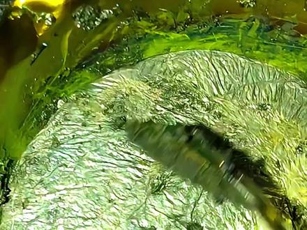 带你认识不同的稀有金属你们都见过哪些 #金属 #稀有金属 #科普