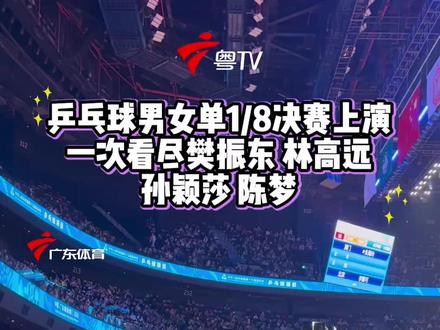 十五运会乒乓球男女单1/8展开角逐。樊振东、林高远、孙颖莎、陈梦同时出场,这个福利不常有。#一次看尽樊振东林高远孙颖莎陈梦