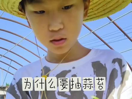 为什么抽蒜薹,怎么抽蒜薹,一个视频讲清楚 #原生态手工采摘 #干活我是认真的嘎 #抽蒜薹 #抽蒜薹神器 #河南蒜薹