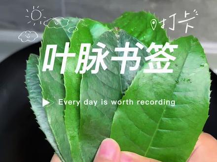 叶脉书签制作~
#手工制作 #手工diy