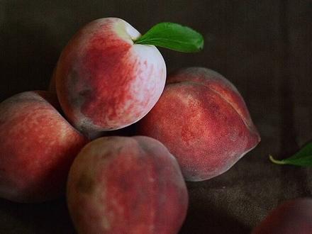 你们还想看我拍什么?评论区见……#桃子 #摄影 #教程@抖音小助手