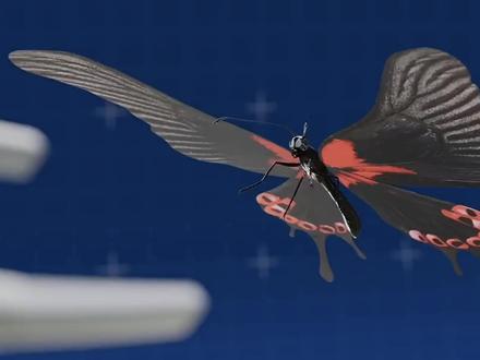 关于舌头的有趣知识#内容启发搜索