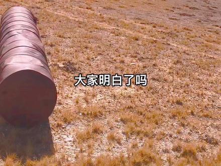 具体答案可搜索“卤虫”详细了解#旅行推荐官 #阿尔金山 #可可西里 #羌塘 #罗布泊 @DOU+小助手 您猜对了吗?