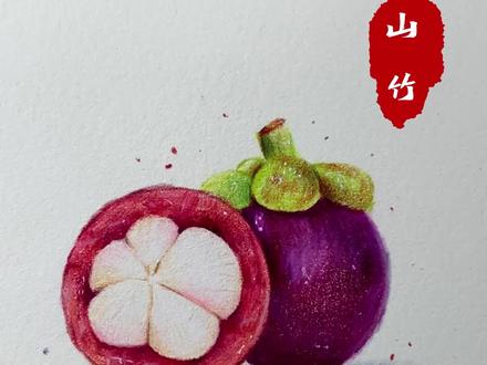 第9集丨彩铅山竹 细节教程来啦!快去试试吧#画画 #彩铅 #手绘 #画渣日常 #绘画教程