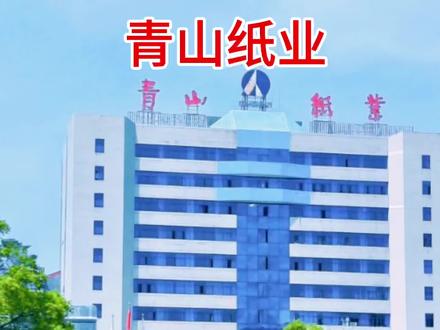 青山纸业,这家上市公司的未来发展与投资价值!